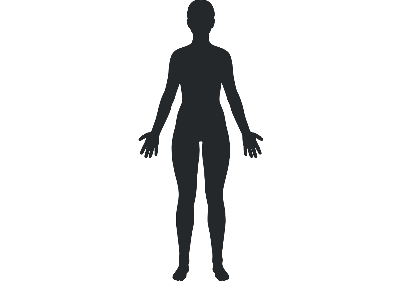 Outline of a human body