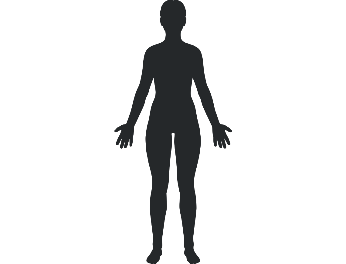 Outline of a human body