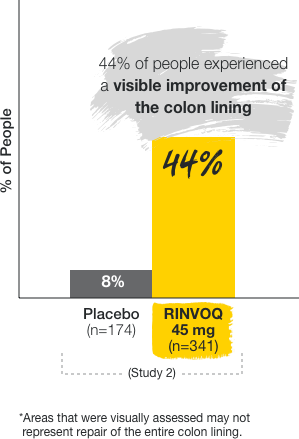 In study 2, 44% of people taking 45mg of RINVOQ (n=341) experienced a visible improvement of the colon lining versus 8% from the placebo group (n=174). Areas that were visibly assessed may not represent repair of the entire colon lining.